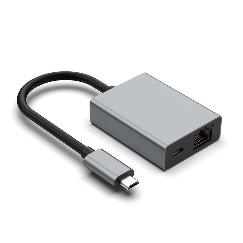 Type-C 2-in-1 Docking Station with PD100W, Gigabit Ethernet, and 100Mbps Ethernet Port