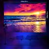 Sunset Blacklight UV Reactive Wall Hanging Tapestry Fluorescent Tapestry for Living Room  Bedroom and Home Decor