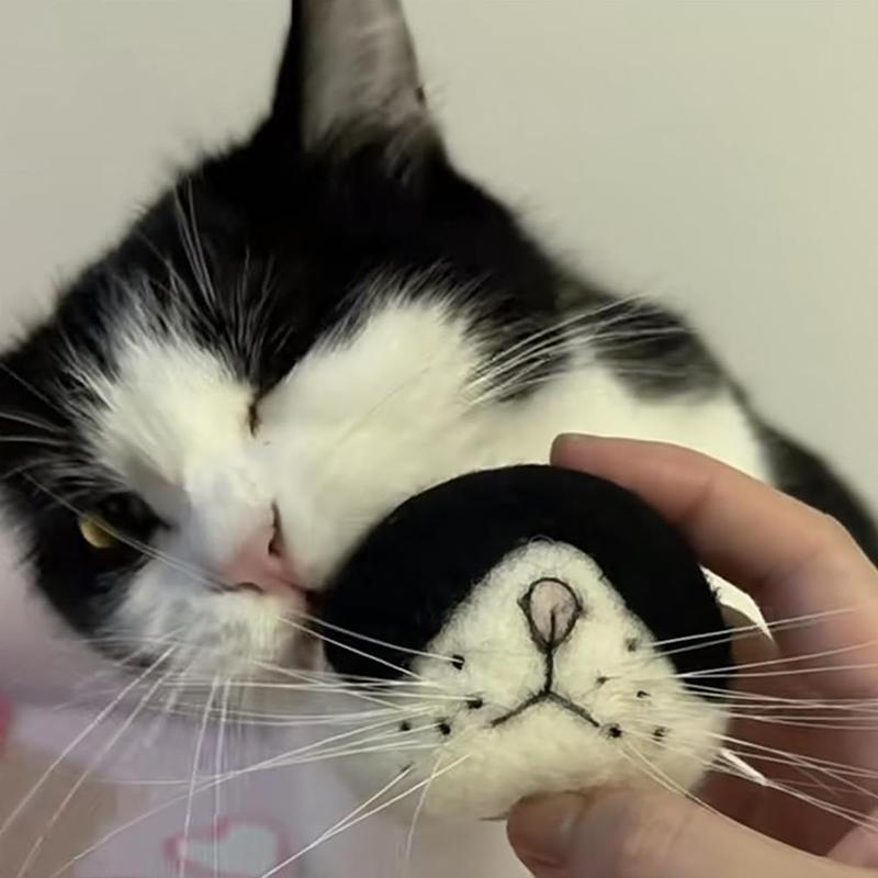 Cat Whisker Storage Felt Refrigerator Magnets Cat Whiskers Collection Cat Vibrissae Keepsake Pets Souvenir Gift Home Decor