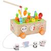 Farm Orchard Shape Building Blocks and Worm-Catching Toy Set for Kids