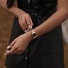 Danielwellingteon Iconic Link 2-Color Unisex Steel Watch