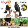 Animal Model Wildlife Solid Plastic Parrot And Hornbill Figures For Gift Kids