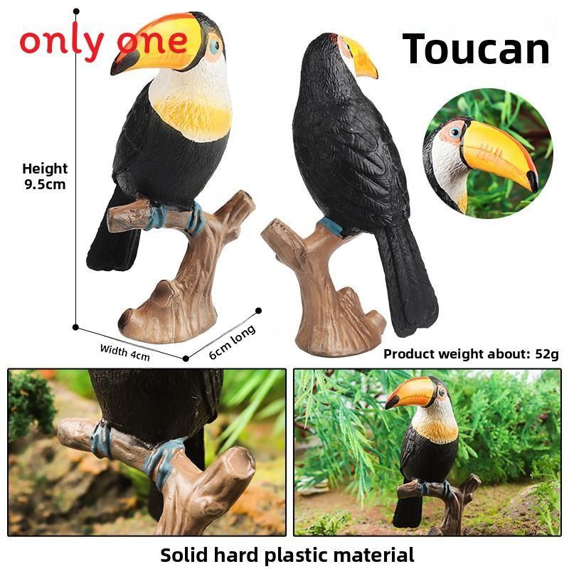 Animal Model Wildlife Solid Plastic Parrot And Hornbill Figures For Kids Gift