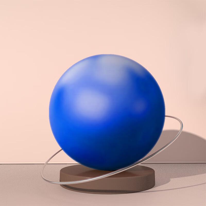 WEZHO Yoga Exercise Ball