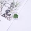 20pcs/Box Nail Art Dried Flowers Spirea Small Plum Narcissus Nail Art Color Mixed Flower Dried Flower Patch DIY Nail Decoration