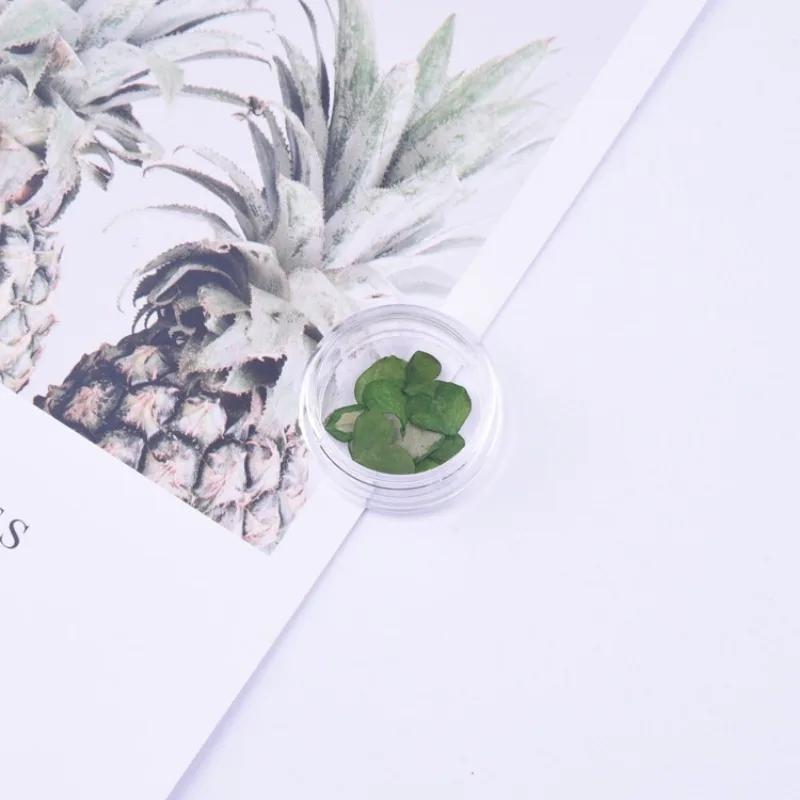 20pcs/Box Nail Art Dried Flowers Spirea Small Plum Narcissus Nail Art Color Mixed Flower Dried Flower Patch DIY Nail Decoration