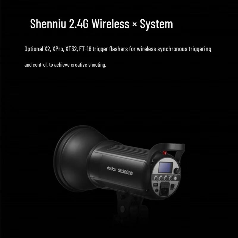 Godox SK400IIV Professional Studio Flash Kit