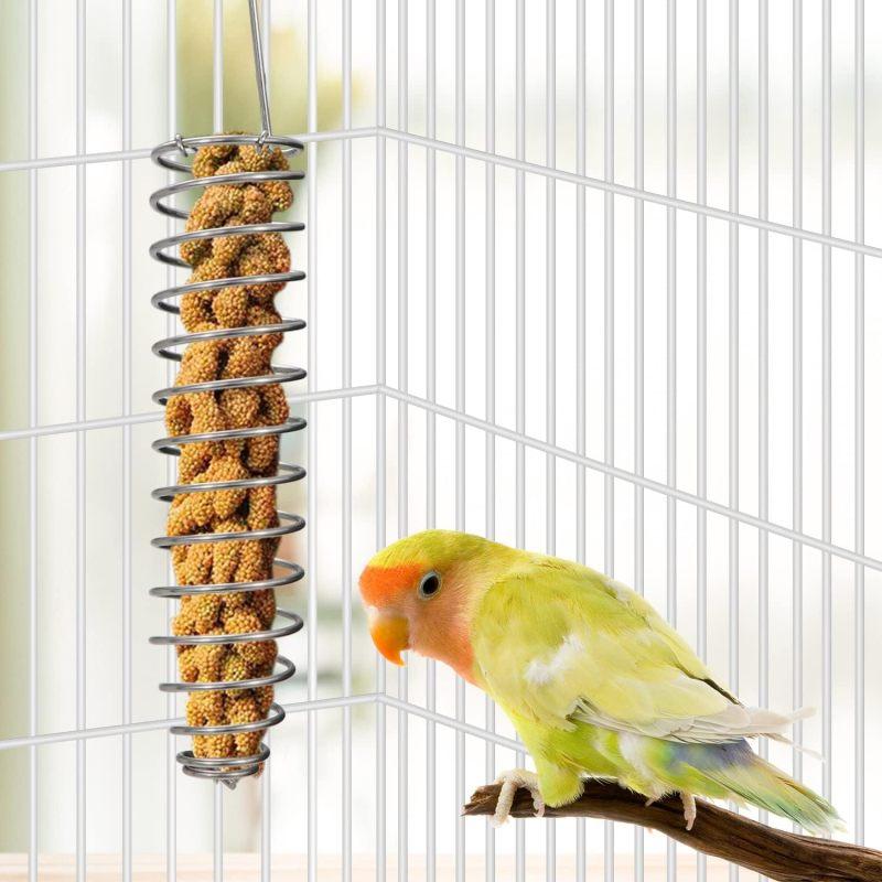 Bird Foraging Toy Feeder Parrot Treat Fruit Vegetable Seed Holder Feeder Food Basket Tool Stainless Steel Cage Accessories for Parakeet Cockatiel