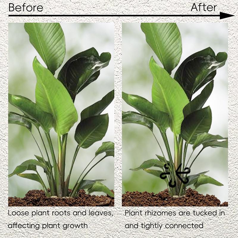 

4Pcs Reusable Plant Stem Frames Garden Tools No Stake Trellis Plant Stem Support Branches Stem Fixing Holder чёрный