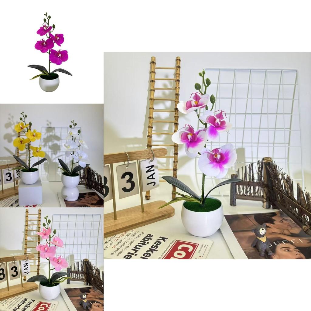 Artificial Orchid Plant With Colorful Blooms For Wedding Balcony And Patio Decoration