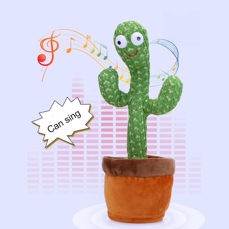 Dancing Cactus Twisting Cactus Twisting Zpívání Tanec k narozeninám