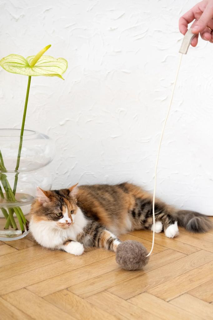 Natural Woolen Cat Toy: Ball String / Beige