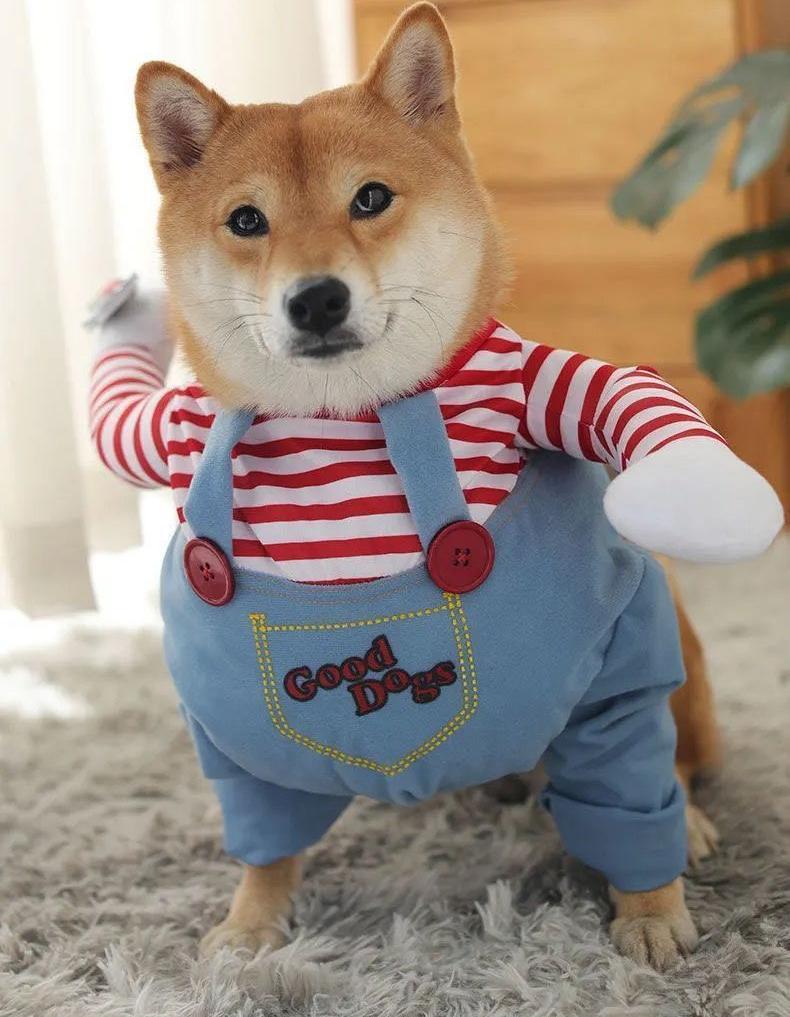 

Коралловый флис забавные костюмы для домашних животных костюм на Хэллоуин уникальный дизайн куртки для собак и кошек милые пальто товары для животных принадлежности XL Bust 88-108cm