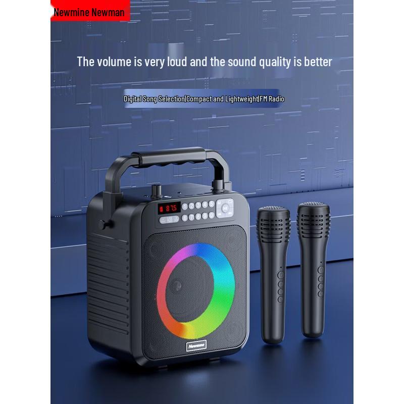 Newmine K522 Portable Bluetooth KTV Speaker with Dual Microphones CN Plug (adapter Included)