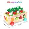 Batolata Montessori dřevěné vzdělávací hračky pro chlapce Dívky Věk 1 2 3 roky, Třídění tvarů Hračky Dárky, Dřevo Předškolní výuka Hra jemné motoriky