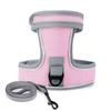 Vest-Style Cat and Dog Harness with Leash - Small Pet Walking Gear
