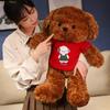 Bear Teddy Stuffed Toy Girl Birthday Gift Cartoon Cute Sweater Dog Figure Action