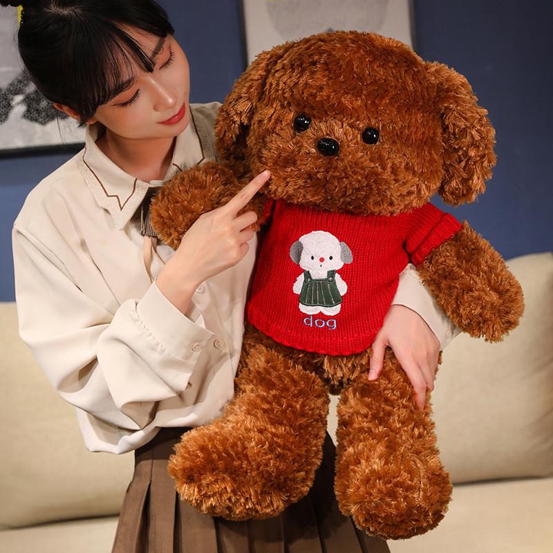 Bear Teddy Stuffed Toy Girl Birthday Gift Cartoon Cute Sweater Dog Figure Action