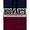 Harry Potter Mens Hogwarts Hoodie