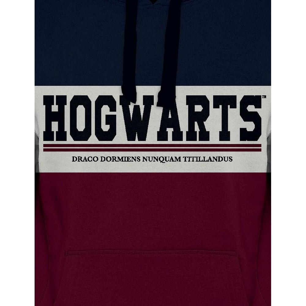 Harry Potter Mens Hogwarts Hoodie