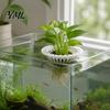 Hollow Root Growth Basket 3D Printed Floating Aquarium Plant Holder, Water Hydroponic Planter Basket, Home Office Decor Pot, Fish Tank Aquascape
