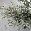 Plastic Artificial Olive Branch with Fruit Handmade Craft Olive Fruit Branch Lifelike Simulated Olive Leaf Plant Office Decor