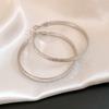 Silver Needle Round Folded Twill Circle Earrings European and American Personality Fashion Temperament Earrings Light Luxury High-end Earrings Women