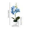 Artificial Orchid, Home/Office Decoration - Display of Living Room Dining Table, Entrance Flower Decoration, Not Easy to Fade