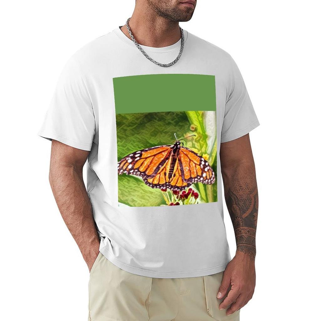 Old Monarch Butterfly Tshirt Large Size Basic Casual Tshirt