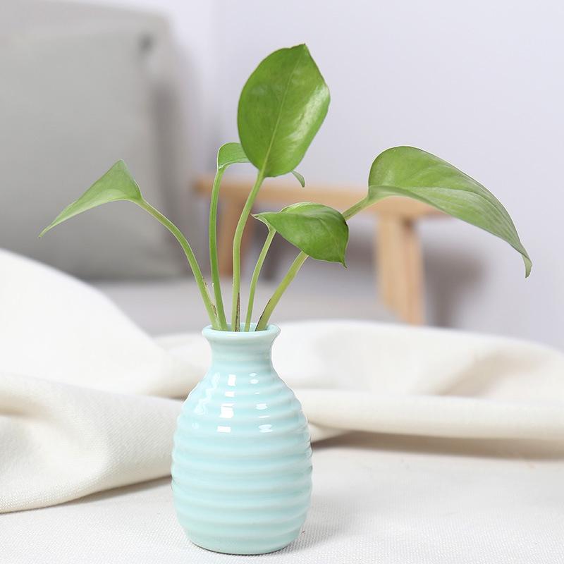Mini Ceramics Flower Vase Nordic Hydroponics Vases Creative Room Decor Flower Plant Bottle Pots Table Ornament Colorful Vase
