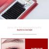 DeceMars L Curl False Eyelashes for Technicians: Classic Grafting & Extension.