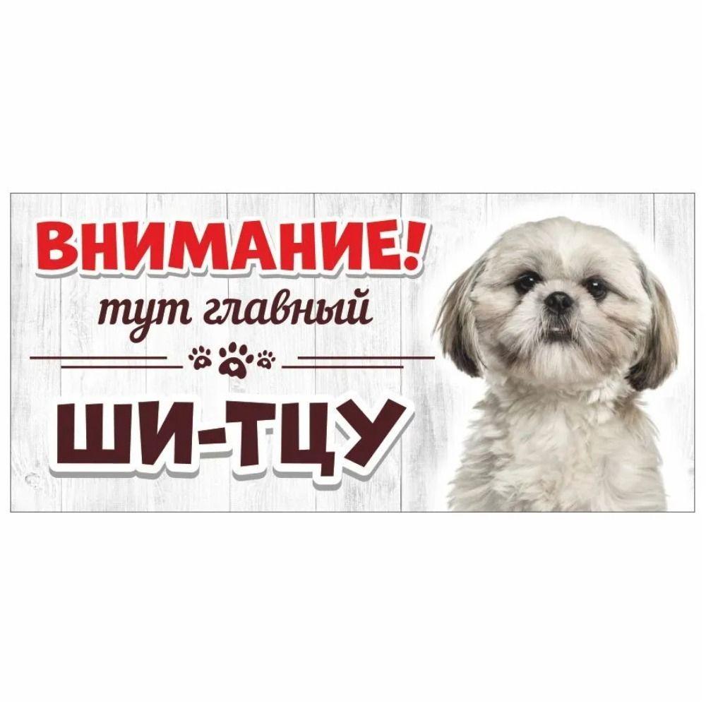 Evil Pomeranian Spitz Sign, Metal Fence Door Plaque 30x15cm