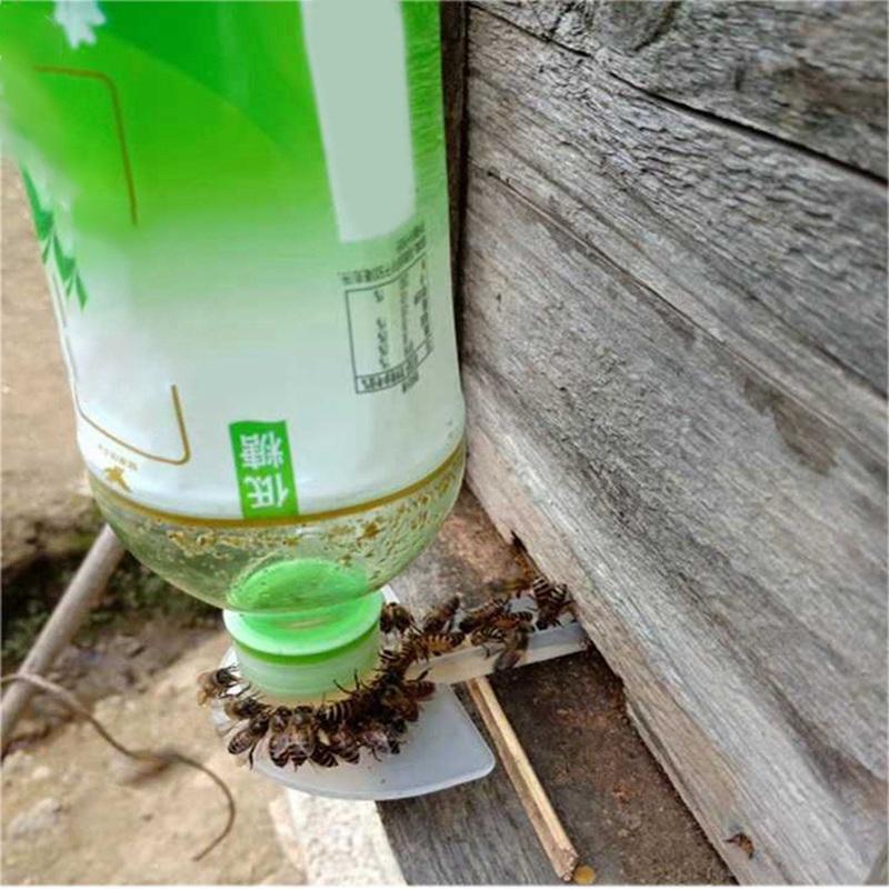 10pcs Bee Feeder Honey Entrance Feeder Beekeeping Cap Thread Feeder Bee Keeping Equip Hive Tool Queen Rearing System h2