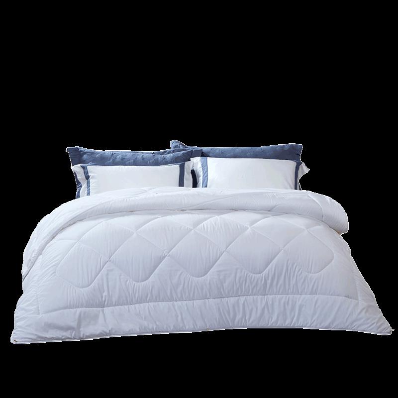 

Fuanna Warm Winter Quilt