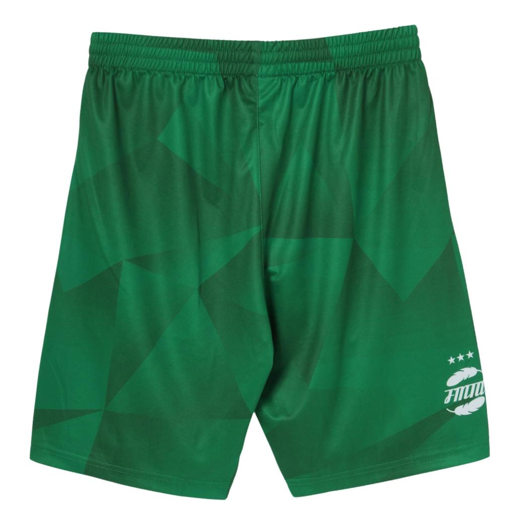 FINTA Soccer Graphic Practice Pants FT4110 (3100) Green