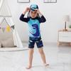 Boys' Long Sleeve Split Cartoon Dinosaur Swimsuit Set