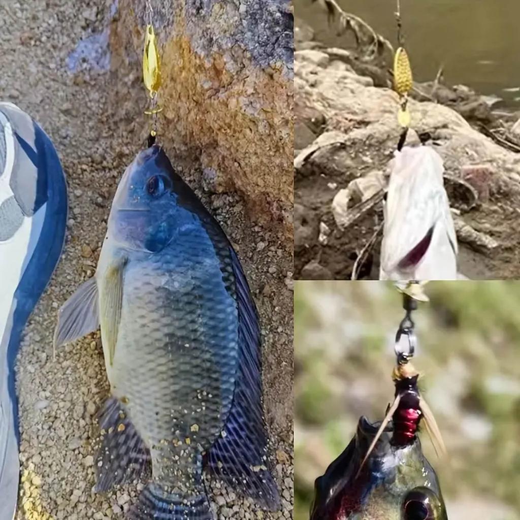 Bionic Fly Fishing Bait Hook with Exquisite and Realistic Appearance Design Suitable for All Kinds of Waters