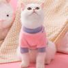 Cat Clothes Winter Contrasting Colors Bunny Satchel Fleece Jacket Kitten Puppy Two-legged Clothing Warm Pet Clothing