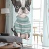 Pet Dog Balloon Celebration Flag Sweater Sheer Curtains for Kids Bedroom Living Room Voile Window Curtains Tulle Drapes