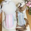 Color Blocking Pet Dog Vest Breathable Dog Clothes Cute Style Dog Vest  Daily Walk