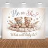 The genre Reveal theme backdrop baby party decorations supplies pink blue bear gift banner newborn shower photography4858
