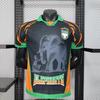 Africa 2026 Cup of Nations Cameroon, Mali, & Ivory Coast Quick-Dry Fan Jersey