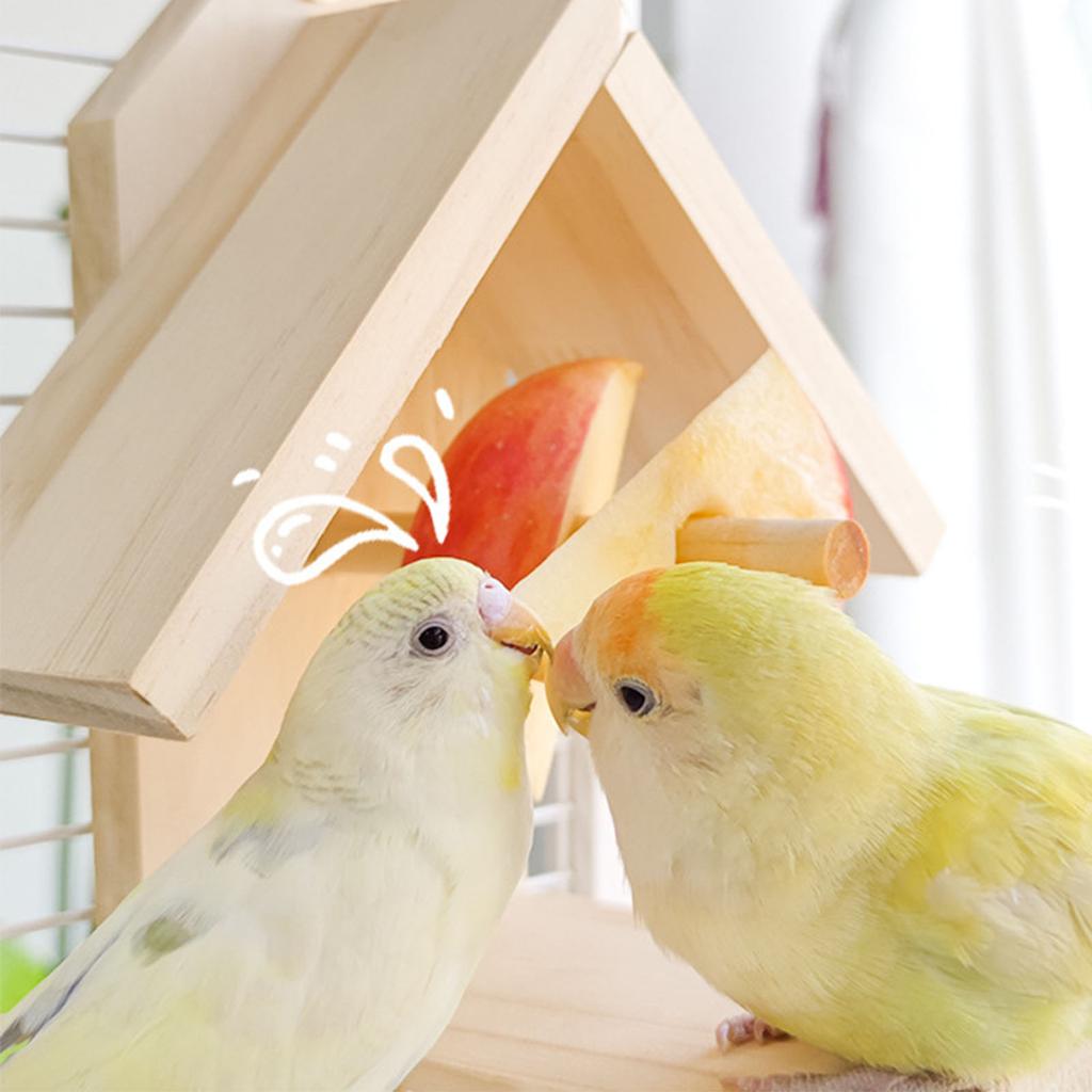 Bird Perch Feeder Molar Stand for Parrots Conure Supplies Budgies Grinding Scratchers for Small Medium Parrots Toy