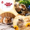 Hamster Costume Animal Hoodie Outfits Animal Knitted Clothes For Gerbil Guinea Hamster Ferret Bunny Chinchilla Hedgehog
