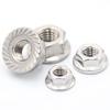 Haistik 304 Stainless Steel DIN6923 Flange Nuts