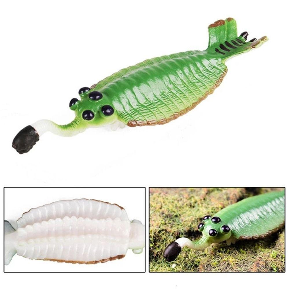 Simulation Ozeantier Figur Nautilus Trilobit Figur Meeresleben Figuren Kinderspielzeug