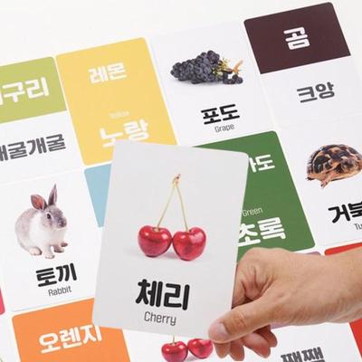Vivid Korean & English Matching Word Flash Cards 158pcs