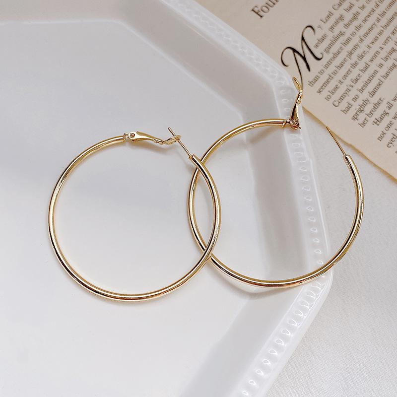 European and American exaggerated atmospheric earrings female ins cold wind versatile metal earrings 925 silver needle Internet celebrity ear jewelry