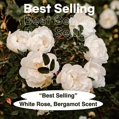 skybottle Perfumed Hand Cream, Lasting Fragrance, Moisturizing, 1.7 Fl. Oz (White Rain(Tube Rose))