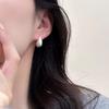 S Silver Needle Niche Design Metal Brushed Small Water Drop Beanie Stud Earrings High-end Temperament Fashionable Earrings Short